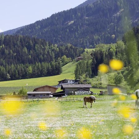Roslerhof Lägenhet Inzing Exteriör bild