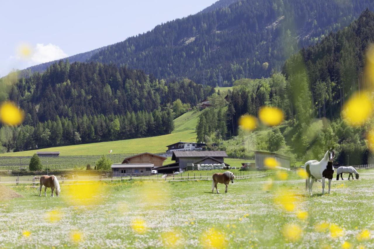Roslerhof Lägenhet Inzing Exteriör bild